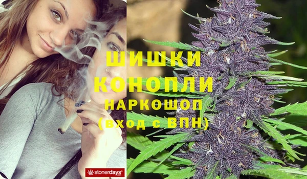 mdpv Бронницы